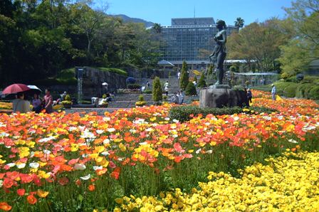 20070429 広島市植物公園 (7)kai.JPG