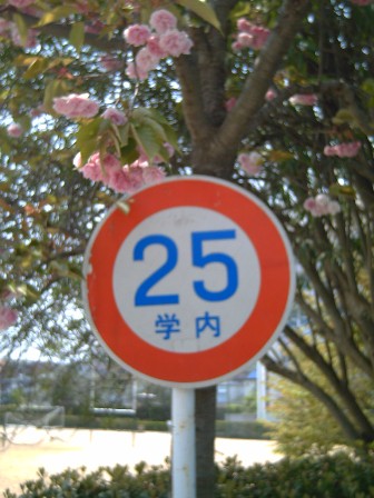 20080427 工業大学ふれあいフェスタ (75).JPG