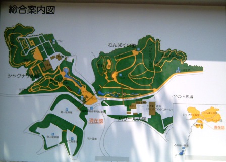 20080429　花みどり公園 (9).JPG