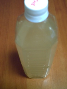 20080524 lemon (6).JPG